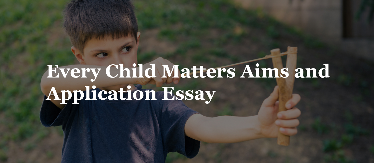 Every Child Matters Aims and Application Essay