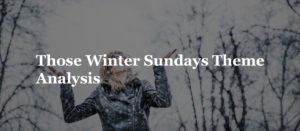 Those Winter Sundays Theme | Analysis