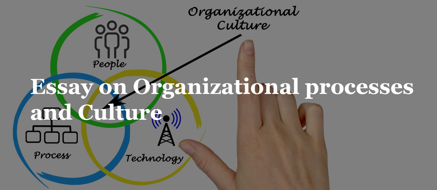 Read more about the article Essay on Organizational processes and Culture