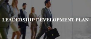Read more about the article LEADERSHIP DEVELOPMENT PLAN